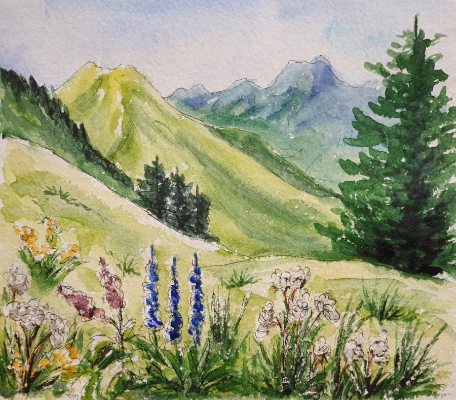 Bergsommer – Summer in the Mountains
